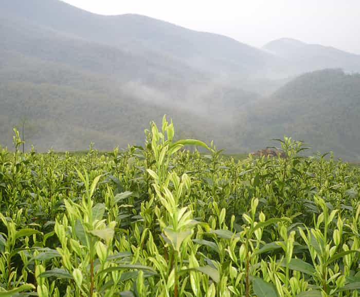 精雕機(jī)的下刀方式有哪幾種？數(shù)控銑床下刀方式又有哪些？