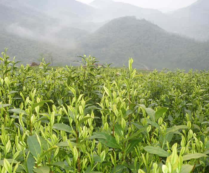 精雕機(jī)械有哪些系統(tǒng)？